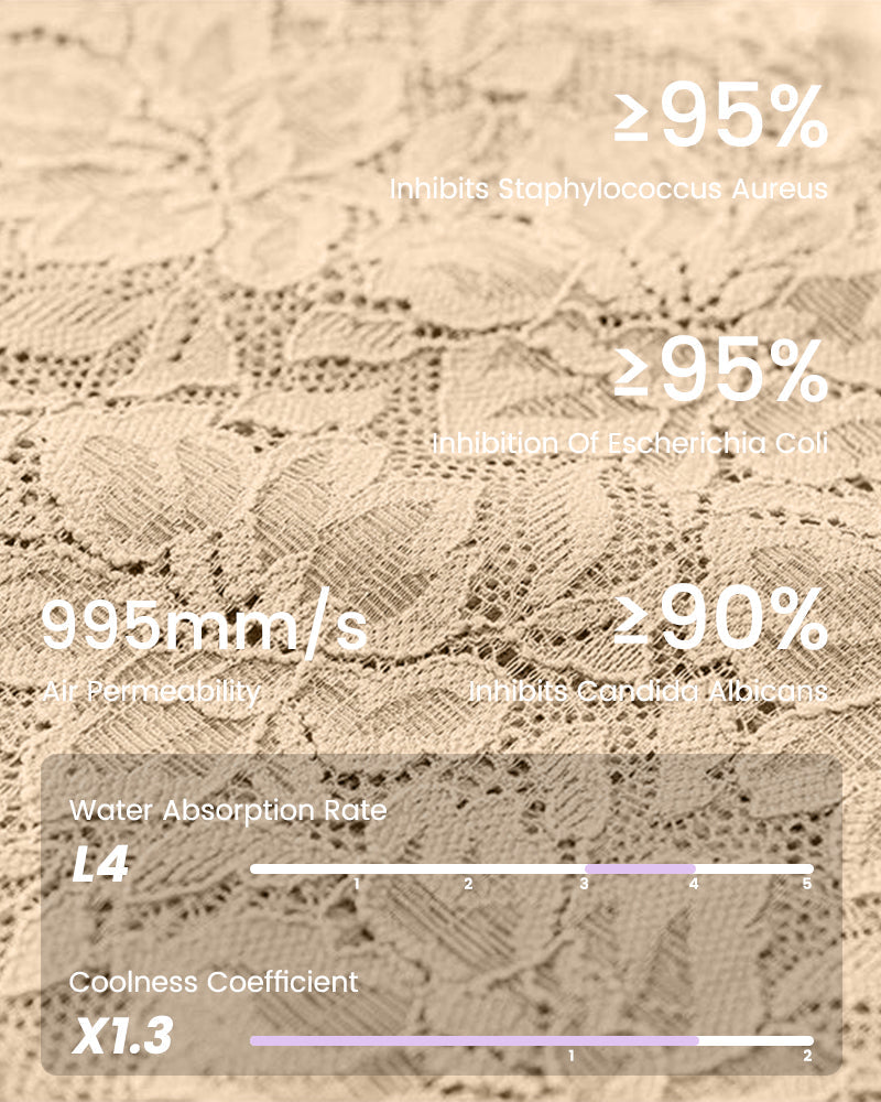 High Waist Lace V-Cut Breathable Shaping Panties (3 Pack)