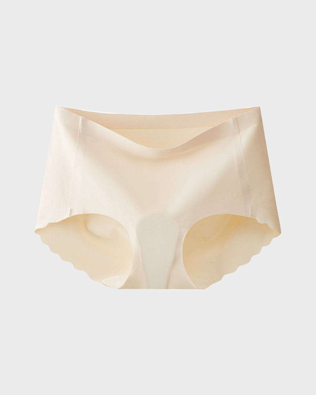 Seamless No Camel Toe Silk Antibacterial Gusset Panties (5 Pack)
